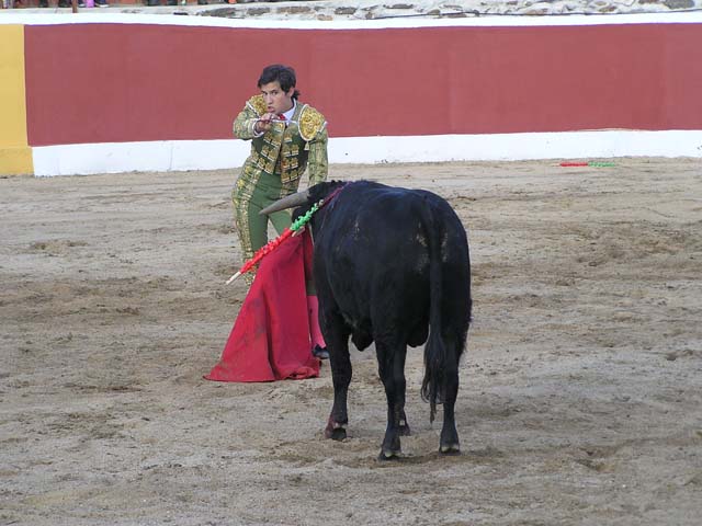 TOROS009