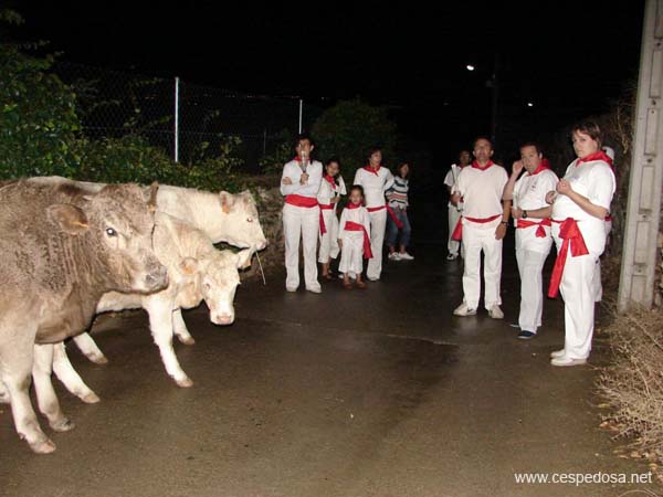 Cespedosa-fiestas-8-9-06_03