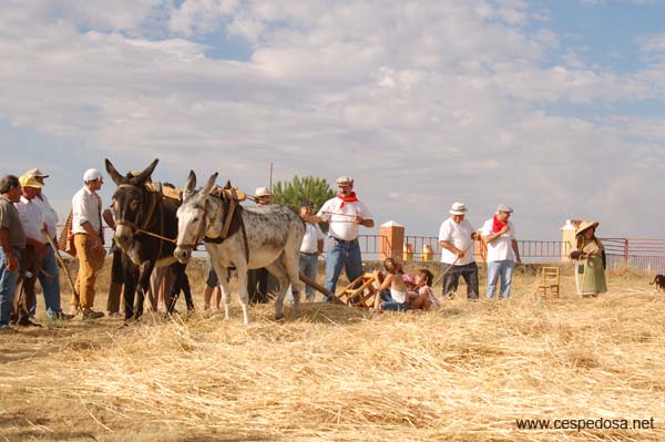 Cespedosa-Fiesta-Trilla-034