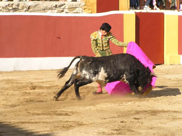 TOROS006