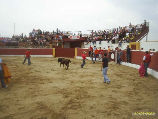 cespedosa-fiestas-2007-012