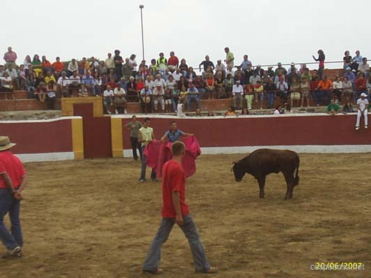 cespedosa-fiestas-2007-020