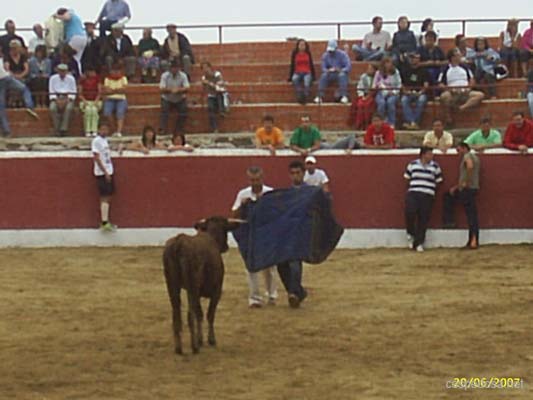 cespedosa-fiestas-2007-024