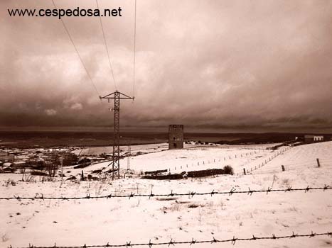 La torre Sepia 19.02.06