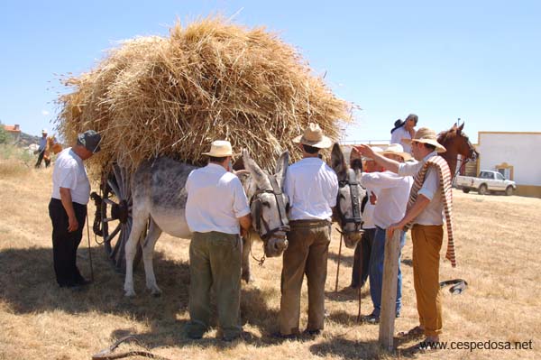 Cespedosa-Fiesta-Trilla-015