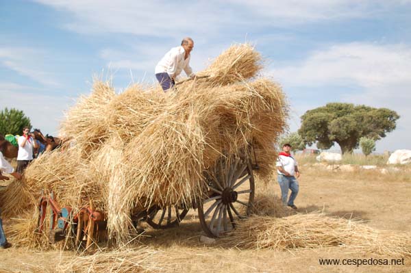 Cespedosa-Fiesta-Trilla-024