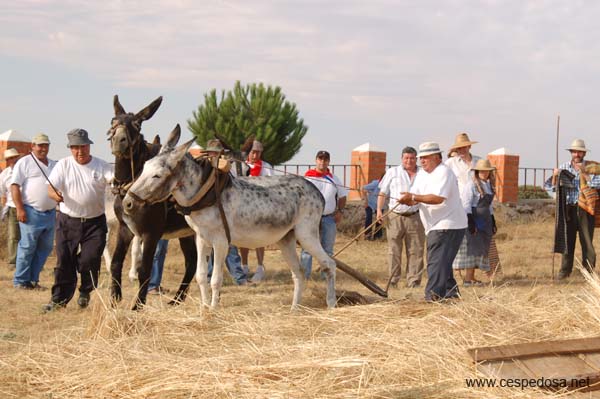 Cespedosa-Fiesta-Trilla-028