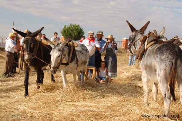 Cespedosa-Fiesta-Trilla-032