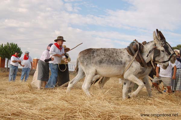 Cespedosa-Fiesta-Trilla-033